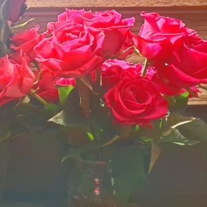 Meet your Posher, Sproutcoco!